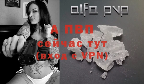амф Туринск
