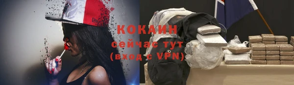 амф Туринск