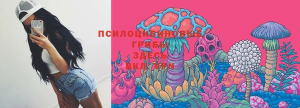 прущий лед Тында