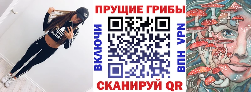 Псилоцибиновые грибы прущие грибы  Купить закладки  Гай 