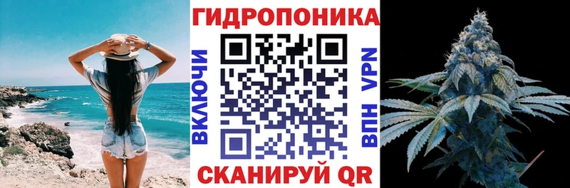 Купить закладки  Гай  Бошки Шишки Amnesia 